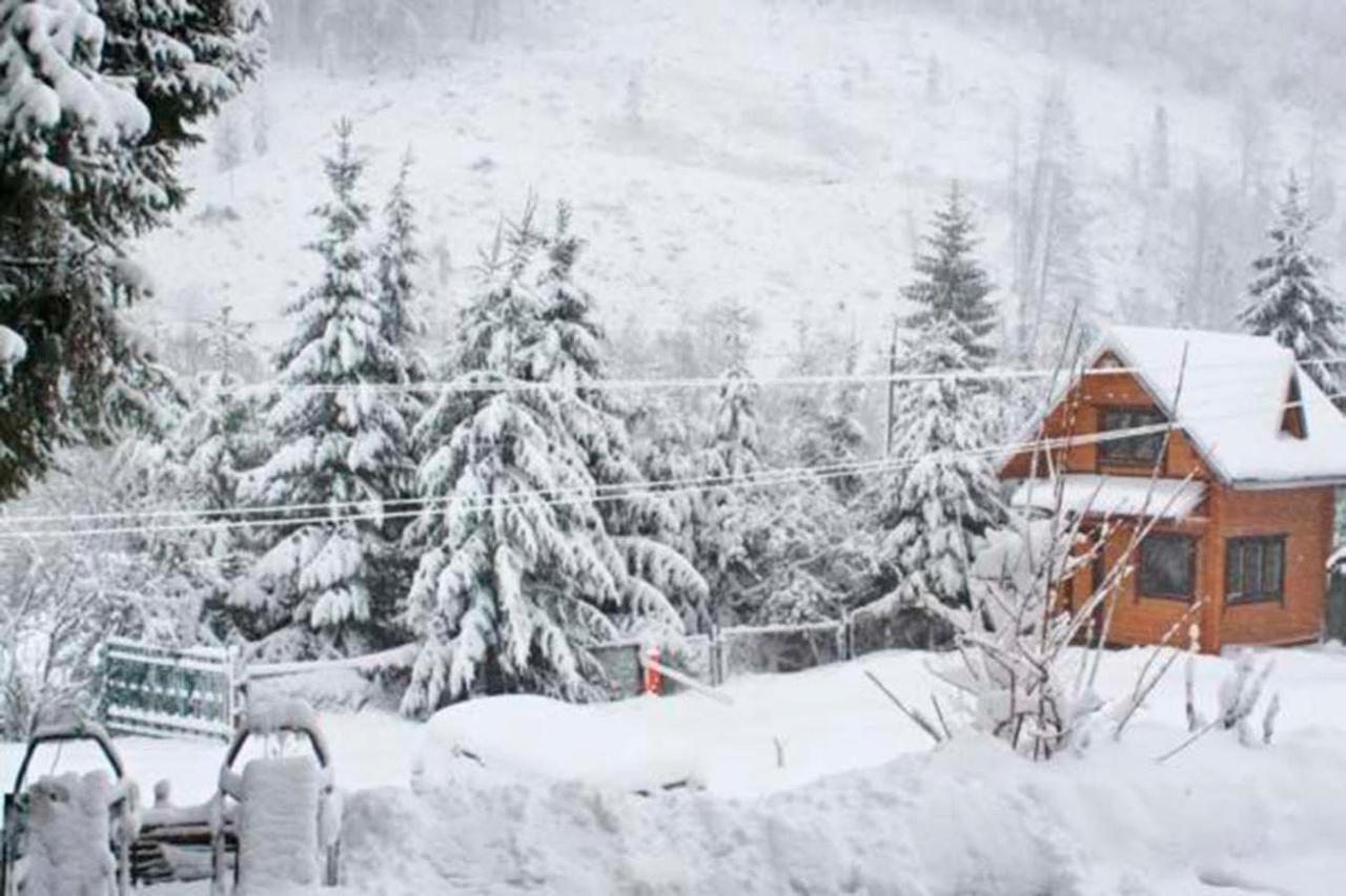 Tsarynka Eco Complex Hotel Slavske Bagian luar foto